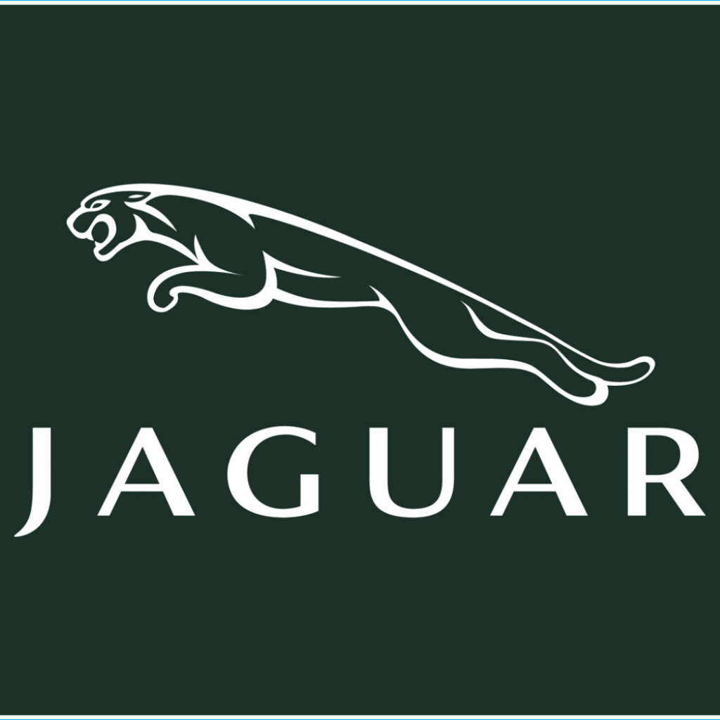 Logo Jaguar Opticien Angers Bouchemaine